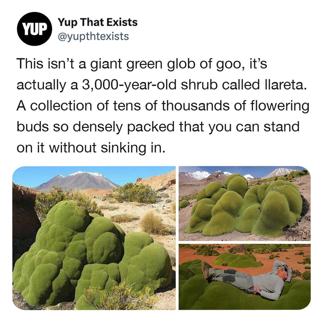 30 Things You Never Knew Existed