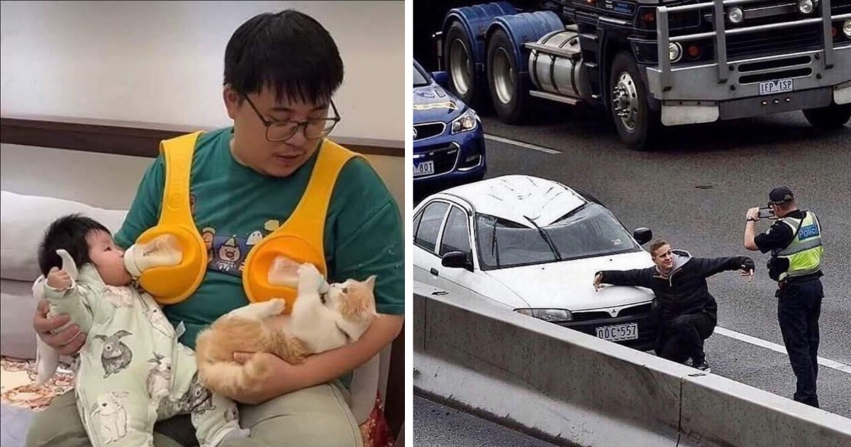 20 Real Unexpected Events That Are So Hilarious